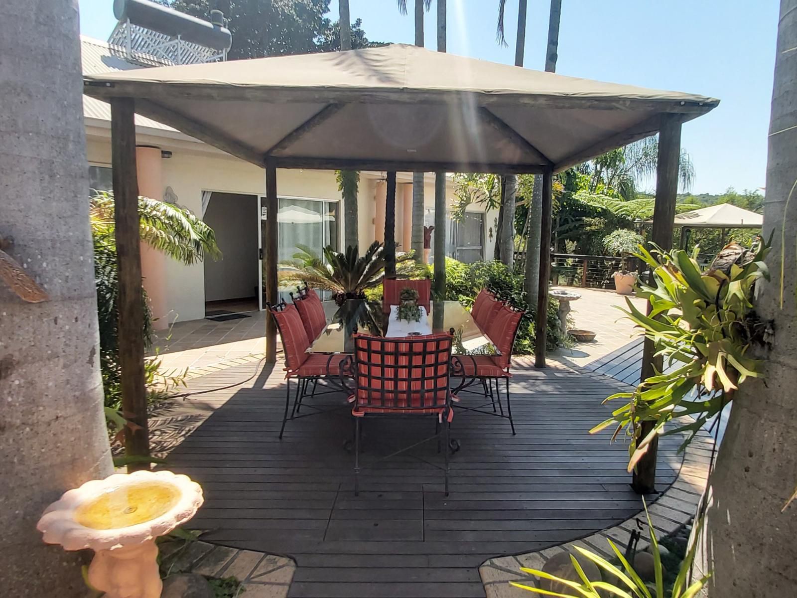 Rockview Lodge, Palm Tree, Plant, Nature, Wood