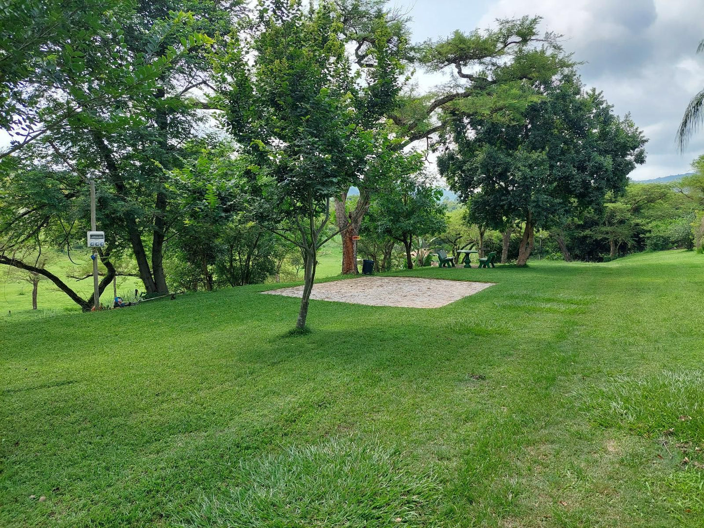 Rockview Lodge, Basic Bush Tent, Tree, Plant, Nature, Wood, Garden