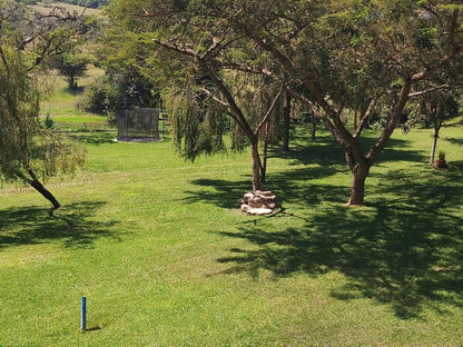 Rock View Lodge Nelspruit Mpumalanga South Africa Plant, Nature, Tree, Wood