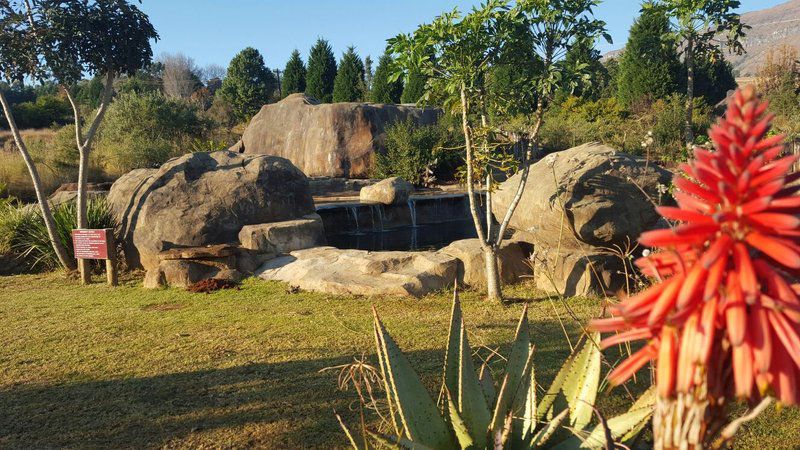 Rockwood Earth Lodge Cathkin Park Kwazulu Natal South Africa 