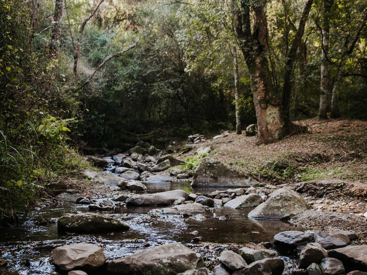 Rockwood Lodges Howick Kwazulu Natal South Africa Forest, Nature, Plant, Tree, Wood, River, Waters, Waterfall