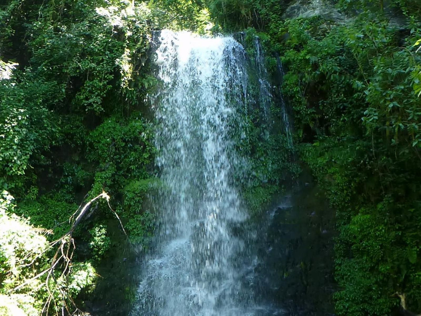 Rockwood Lodges Howick Kwazulu Natal South Africa Forest, Nature, Plant, Tree, Wood, Waterfall, Waters