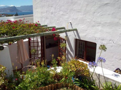 Rocky Beach Holiday Lets Simons Town Cape Town Western Cape South Africa House, Building, Architecture, Garden, Nature, Plant