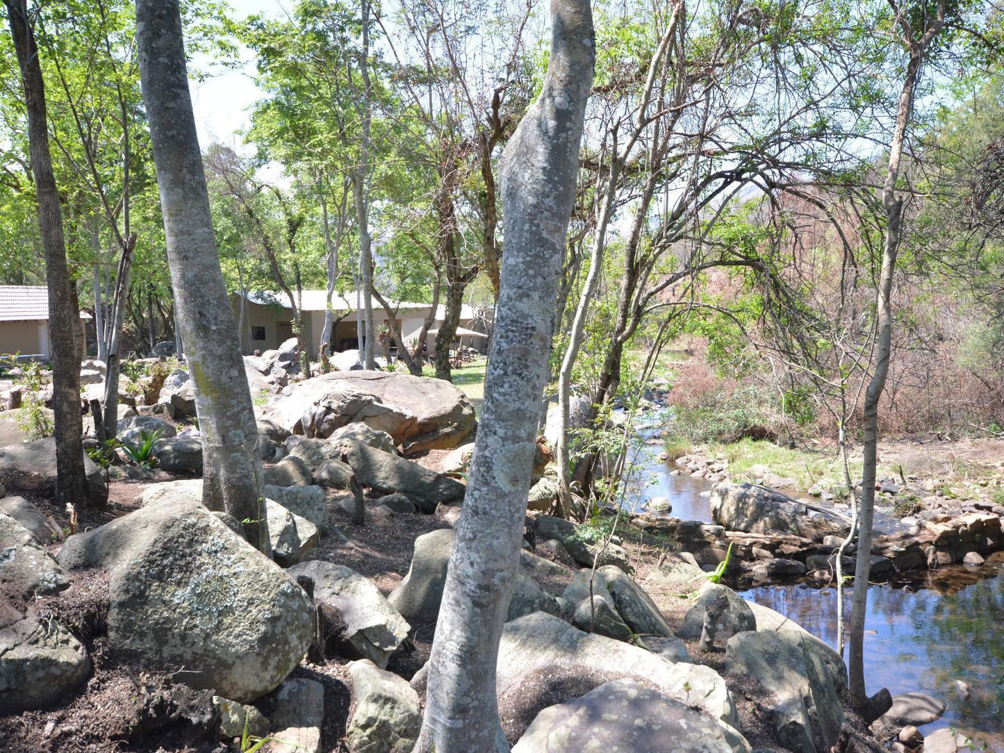 Rocky Drift Private Nature Reserve Waterval Boven Mpumalanga South Africa River, Nature, Waters, Ruin, Architecture, Tree, Plant, Wood, Waterfall