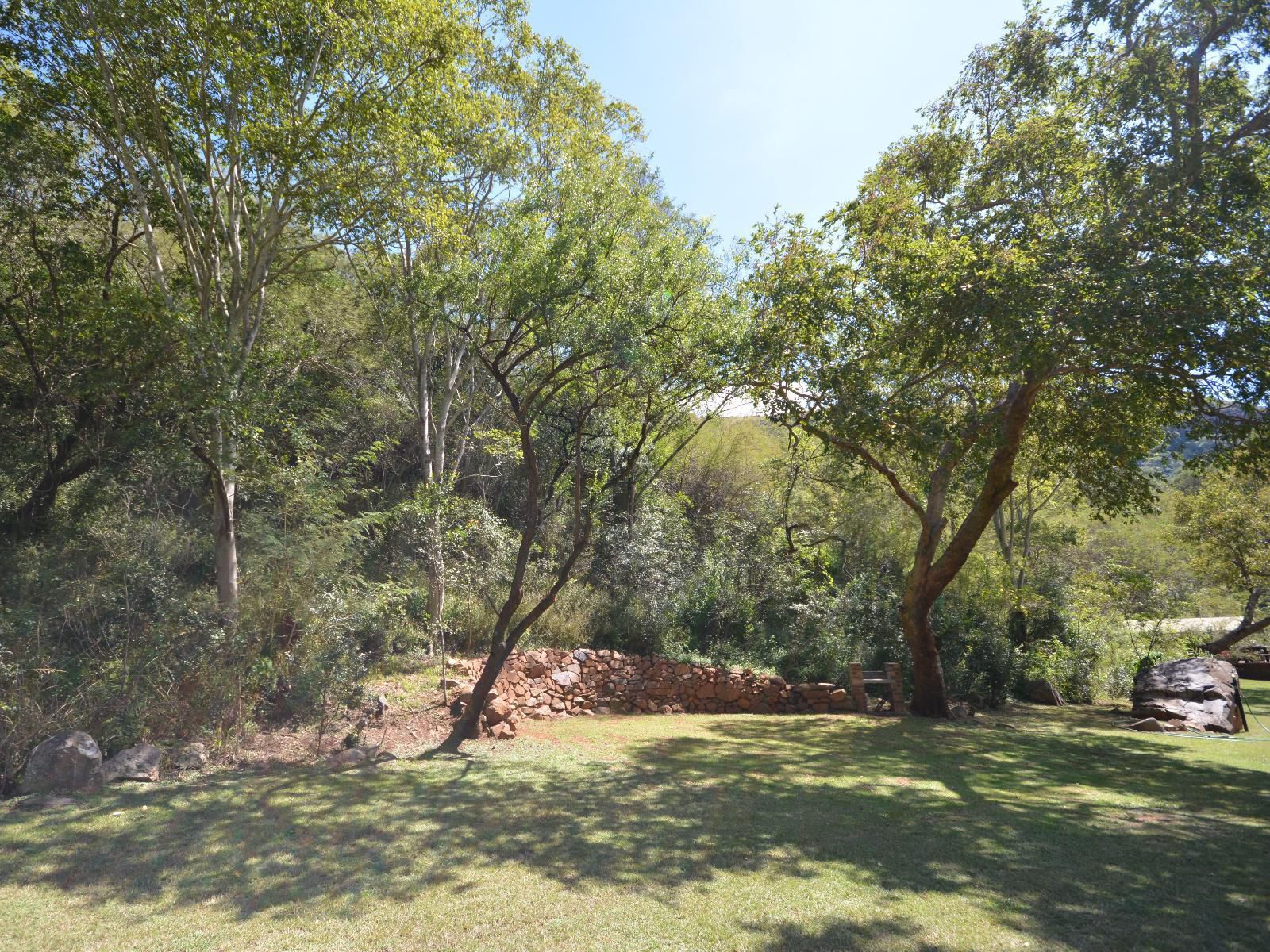 Rocky Drift Private Nature Reserve Waterval Boven Mpumalanga South Africa Tree, Plant, Nature, Wood