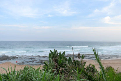 Rod S View Sheffield Beach Ballito Kwazulu Natal South Africa Beach, Nature, Sand, Palm Tree, Plant, Wood, Wave, Waters, Ocean