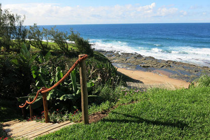 Rod S View Sheffield Beach Ballito Kwazulu Natal South Africa Complementary Colors, Beach, Nature, Sand, Garden, Plant