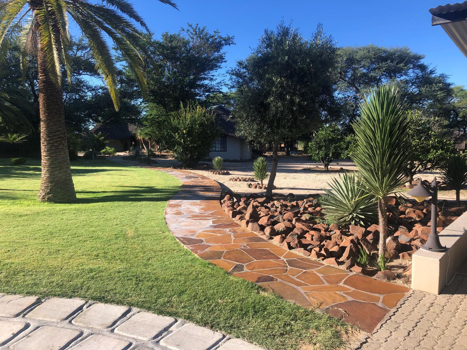 Roidina Safari Lodge, Palm Tree, Plant, Nature, Wood, Garden