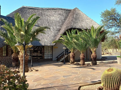 Roidina Safari Lodge, Palm Tree, Plant, Nature, Wood