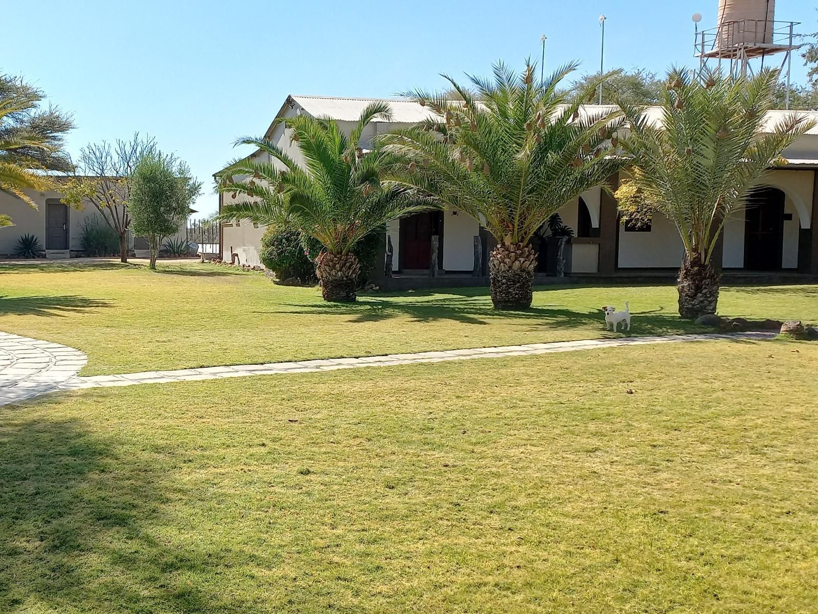 Roidina Safari Lodge, House, Building, Architecture, Palm Tree, Plant, Nature, Wood