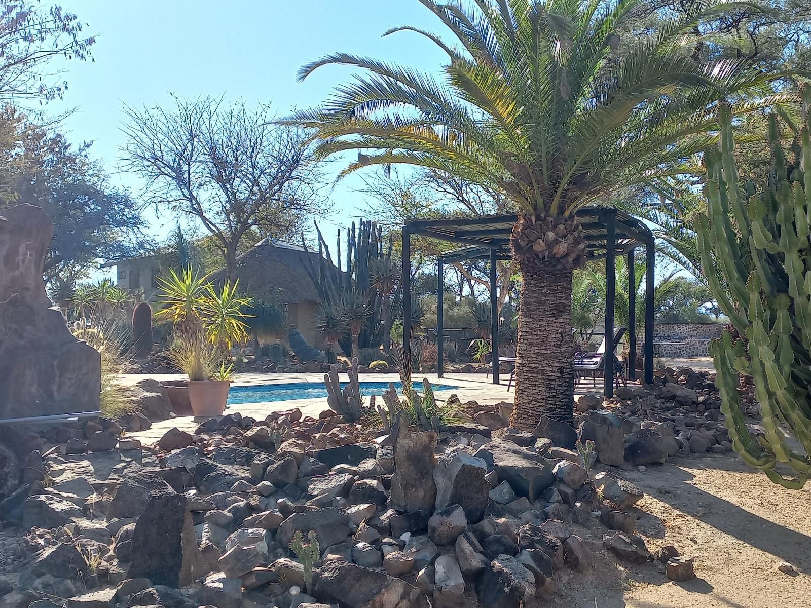 Roidina Safari Lodge, Palm Tree, Plant, Nature, Wood