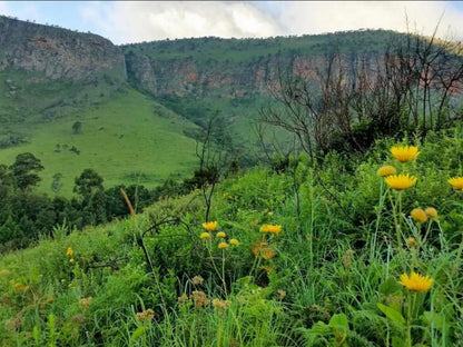 Rondebossie Farm Retreat, Meadow, Nature