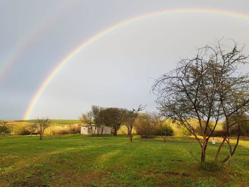 Roodegrond Rivierkamp Patensie Eastern Cape South Africa Rainbow, Nature