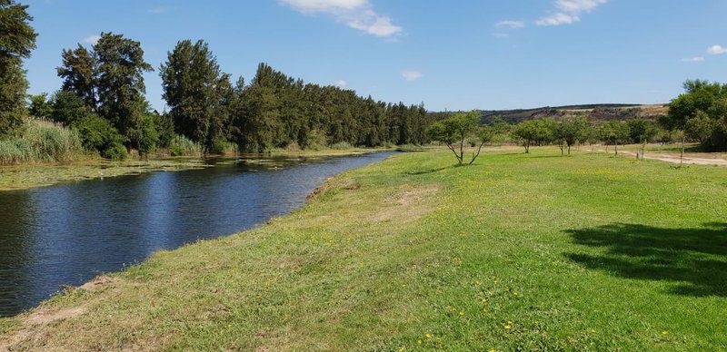 Roodegrond Rivierkamp Patensie Eastern Cape South Africa Complementary Colors, River, Nature, Waters, Tree, Plant, Wood