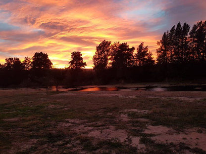 Roodegrond Rivierkamp Patensie Eastern Cape South Africa Sunset, Nature, Sky