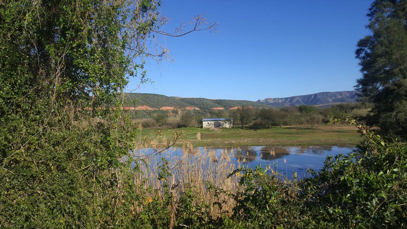 Roodegrond Rivierkamp Patensie Eastern Cape South Africa Complementary Colors, Lake, Nature, Waters, River, Highland