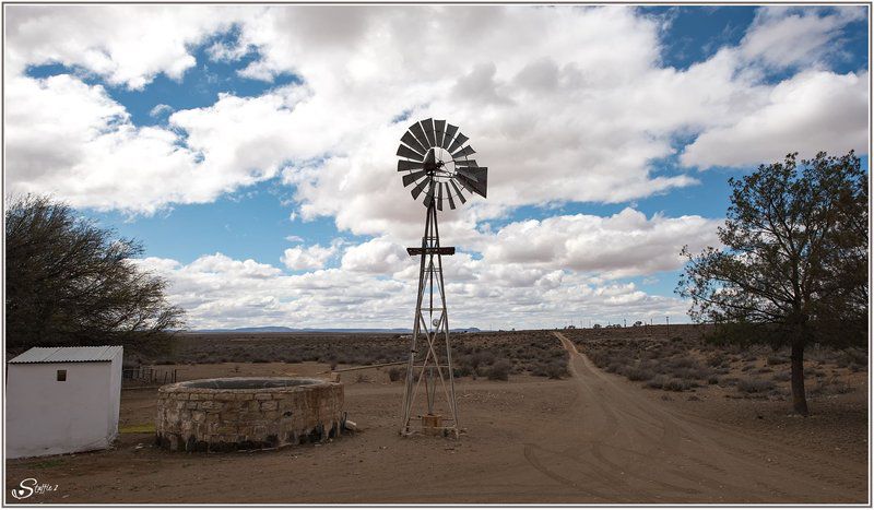 Rooiberg Gasteplaas Williston Northern Cape South Africa Lowland, Nature