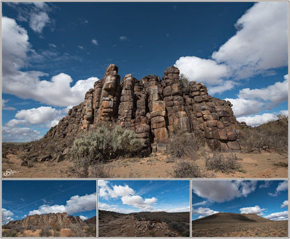 Rooiberg Gasteplaas Williston Northern Cape South Africa Cactus, Plant, Nature, Desert, Sand