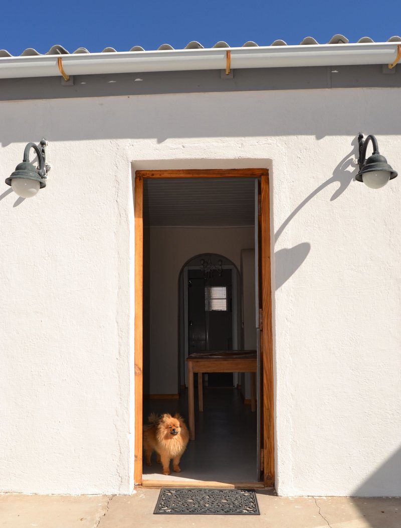 Rooiberg Gasteplaas Williston Northern Cape South Africa Dog, Mammal, Animal, Pet, Door, Architecture, House, Building