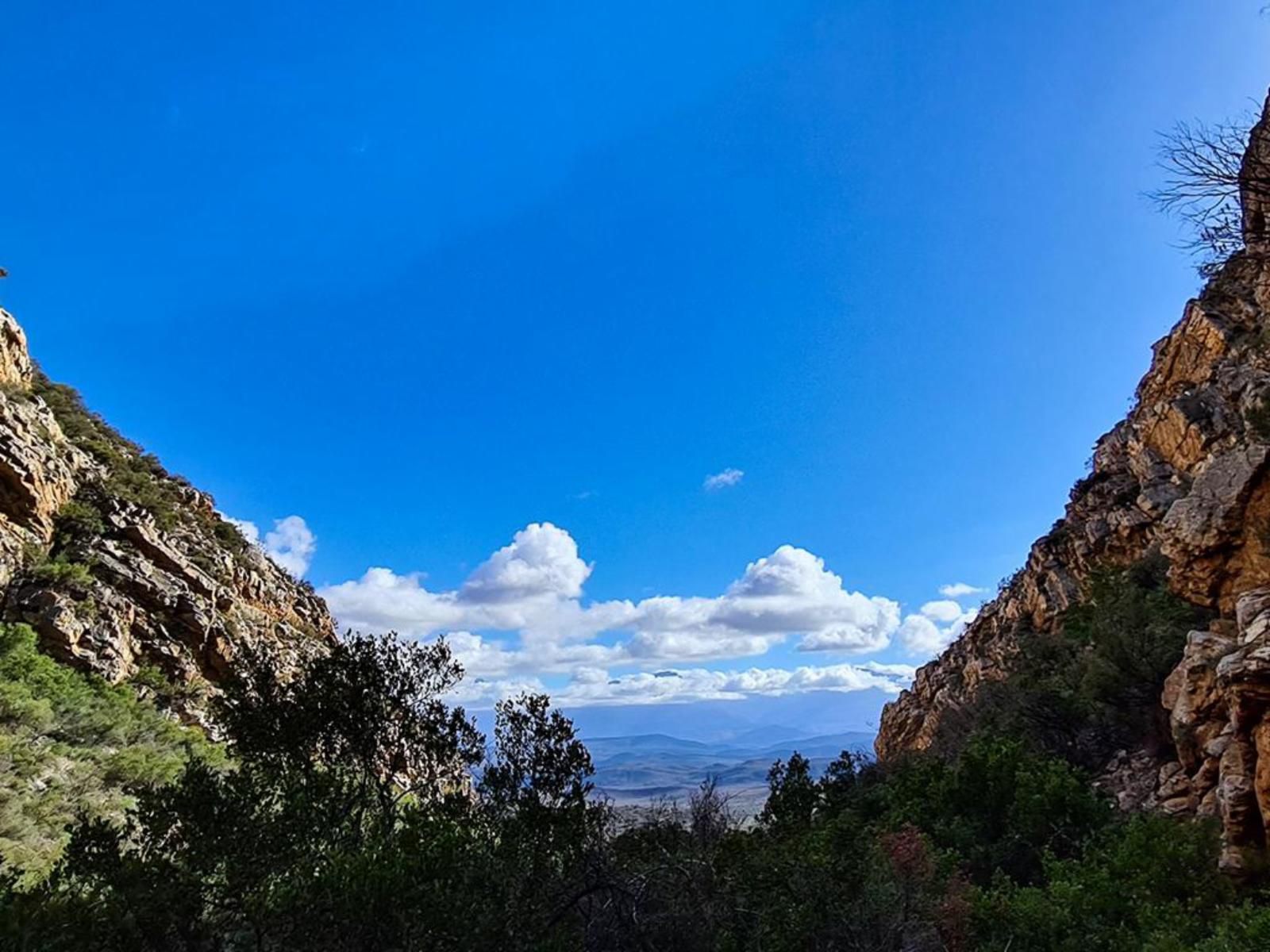 Rooiberg Wild Private Game Reserve, Nature