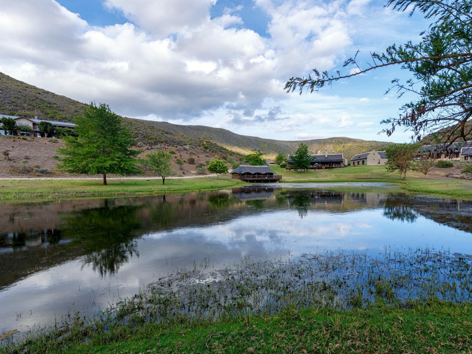 Rooiberg Lodge Van Wyksdorp Western Cape South Africa Highland, Nature