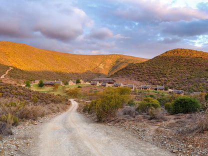 Rooiberg Lodge Van Wyksdorp Western Cape South Africa Complementary Colors, Desert, Nature, Sand