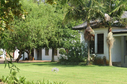 Rooiheuwel Cottage Wellington Western Cape South Africa House, Building, Architecture, Palm Tree, Plant, Nature, Wood