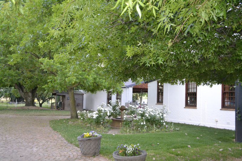 Rooiheuwel Cottage Wellington Western Cape South Africa House, Building, Architecture, Plant, Nature, Tree, Wood