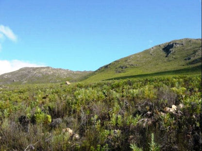 Rooiheuwel Noord Accommodation Bot River Western Cape South Africa Complementary Colors, Mountain, Nature, Highland