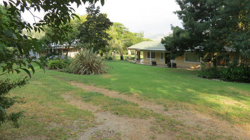 Rooihoogte Guest House Carolina Mpumalanga South Africa House, Building, Architecture, Palm Tree, Plant, Nature, Wood, Garden, Swimming Pool