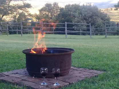 Rooihoogte Guest House Carolina Mpumalanga South Africa Fire, Nature, Wine, Drink