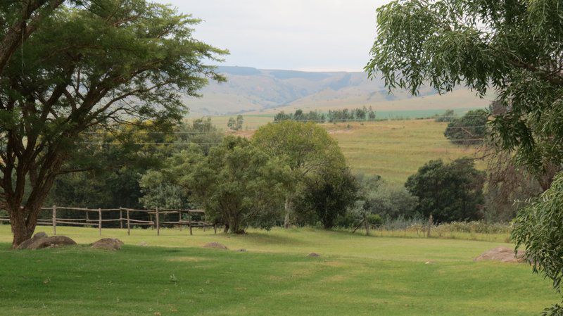 Rooihoogte Guest House Carolina Mpumalanga South Africa Field, Nature, Agriculture, Tree, Plant, Wood, Lowland