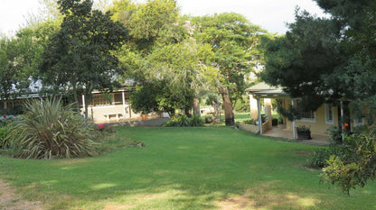 Rooihoogte Guest House Carolina Mpumalanga South Africa House, Building, Architecture, Palm Tree, Plant, Nature, Wood, Tree, Garden