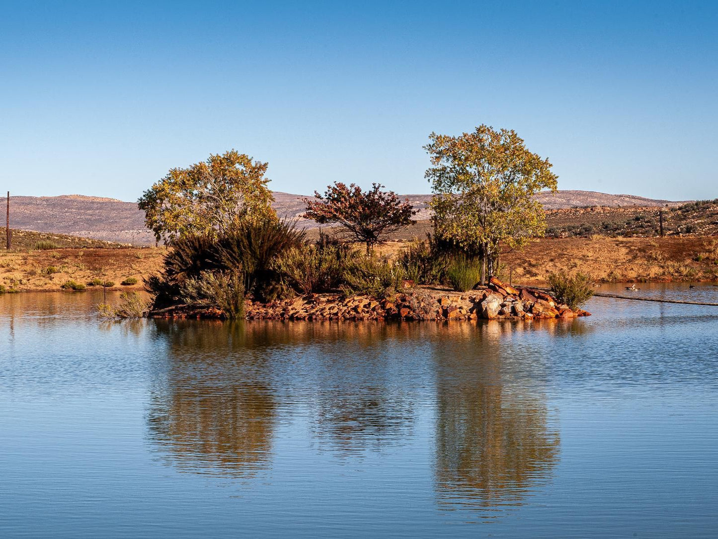 Rooilande Guest Farm Laingsburg Western Cape South Africa Complementary Colors, River, Nature, Waters