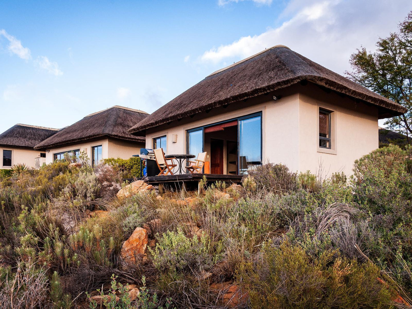 Luxury Chalet @ Rooilande Guest Farm