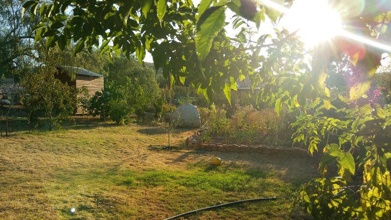 Room Irissa Sanctuary De Rust Western Cape South Africa Plant, Nature, Tree, Wood, Garden