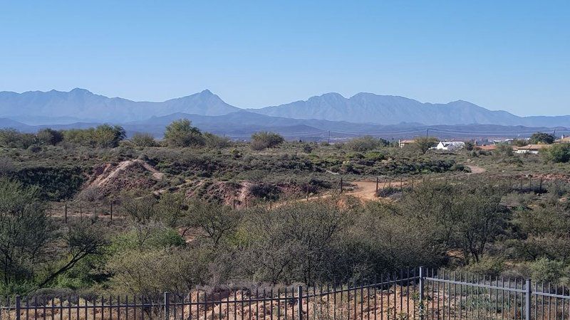 Room With A View Oudtshoorn Western Cape South Africa Cactus, Plant, Nature, Desert, Sand