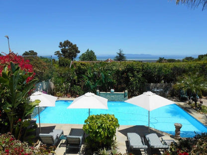 Roosboom Helena Heights Somerset West Western Cape South Africa Beach, Nature, Sand, Palm Tree, Plant, Wood, Swimming Pool