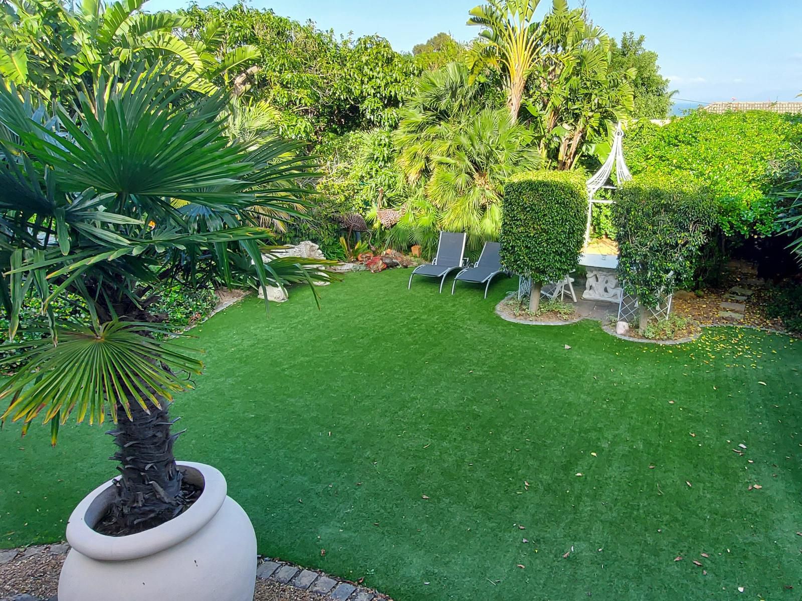 Roosboom Helena Heights Somerset West Western Cape South Africa House, Building, Architecture, Palm Tree, Plant, Nature, Wood, Garden