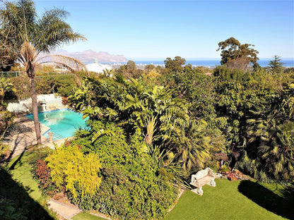 Roosboom Helena Heights Somerset West Western Cape South Africa Complementary Colors, Palm Tree, Plant, Nature, Wood, Garden, Swimming Pool