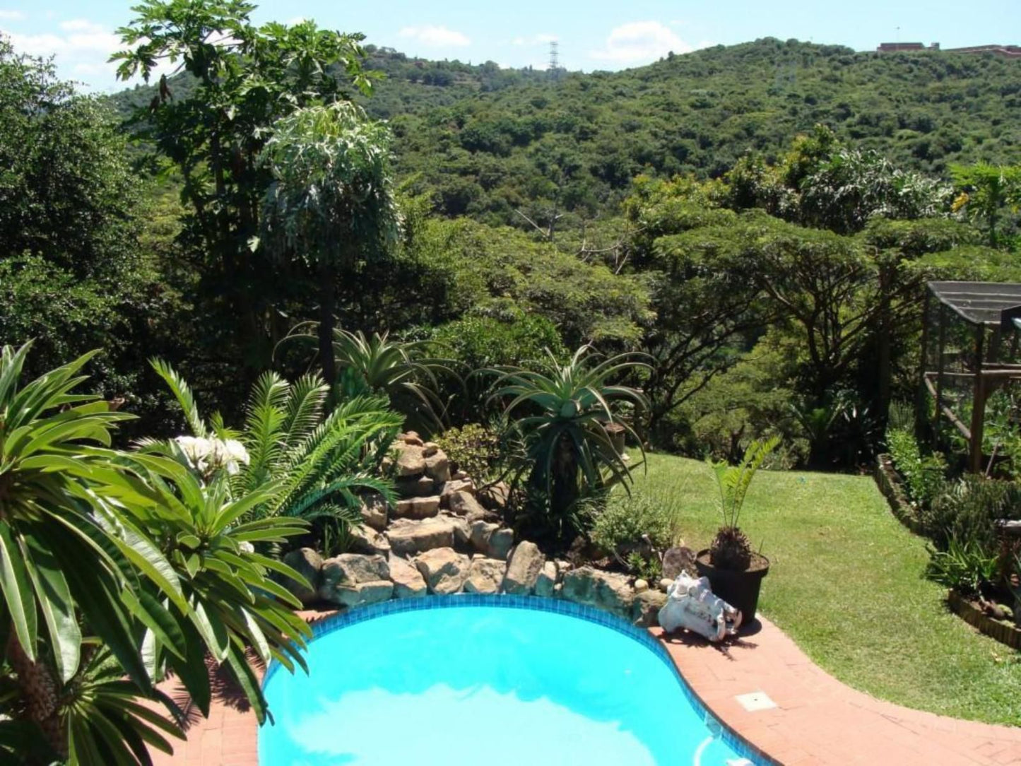 Roosfontein Bed And Breakfast And Conference Room Queensburgh Durban Kwazulu Natal South Africa Garden, Nature, Plant, Swimming Pool