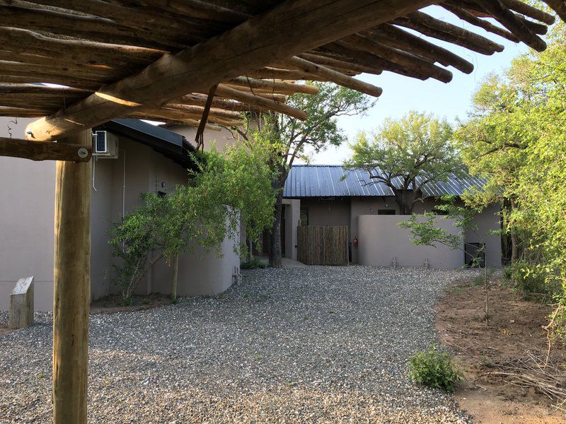 Badger Bush Lodge Mjejane Private Game Reserve Mpumalanga South Africa House, Building, Architecture, Plant, Nature