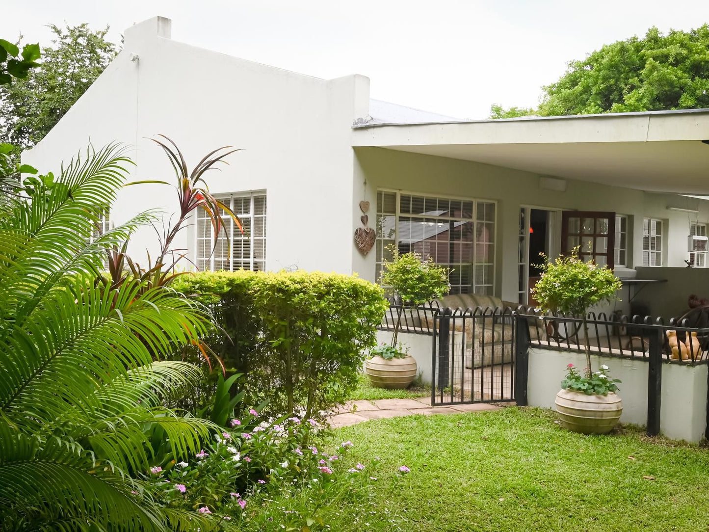 Rose And Ivy Guesthouse Makhado Louis Trichardt Limpopo Province South Africa House, Building, Architecture, Palm Tree, Plant, Nature, Wood