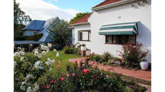 Rose Tree Rondebosch Cape Town Western Cape South Africa House, Building, Architecture, Rose, Flower, Plant, Nature, Garden