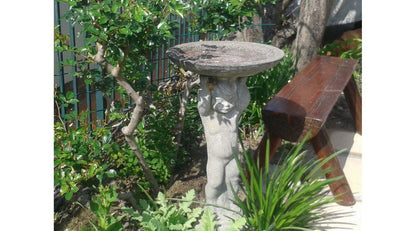 Rose Tree Rondebosch Cape Town Western Cape South Africa Mushroom, Nature, Statue, Architecture, Art, Garden, Plant