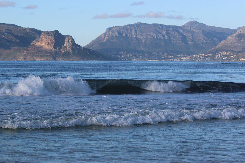 Rose Tree Rondebosch Cape Town Western Cape South Africa Beach, Nature, Sand, Wave, Waters, Ocean