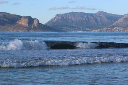 Rose Tree Rondebosch Cape Town Western Cape South Africa Beach, Nature, Sand, Wave, Waters, Ocean