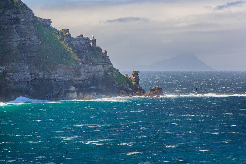 Rose Tree Rondebosch Cape Town Western Cape South Africa Beach, Nature, Sand, Cliff, Framing, Highland, Ocean, Waters