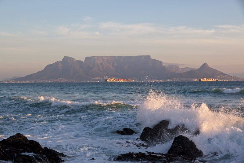 Rose Tree Rondebosch Cape Town Western Cape South Africa Beach, Nature, Sand, Ocean, Waters