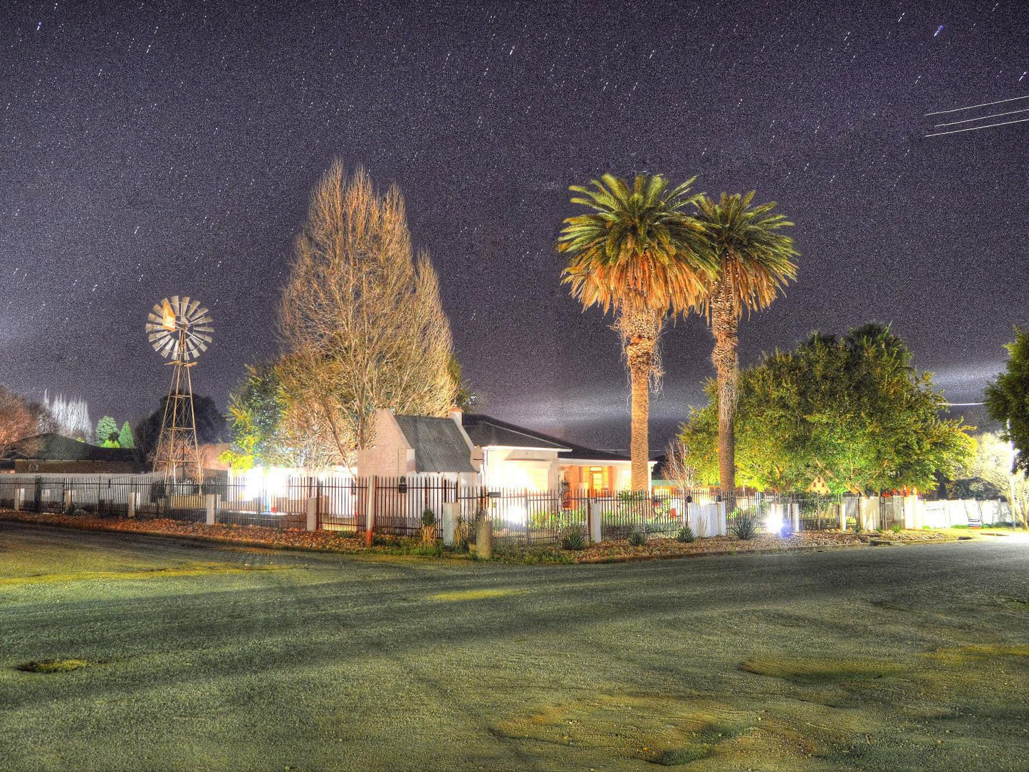 Rose Acres Guest House Parys Free State South Africa Palm Tree, Plant, Nature, Wood, Night Sky